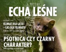 Jesienny numer  Ech Leśnych on line